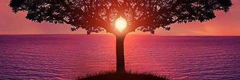 DermanC41450668's profile banner image