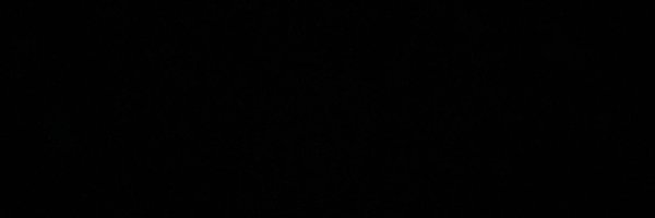 BrianSwanson0 Profile Banner