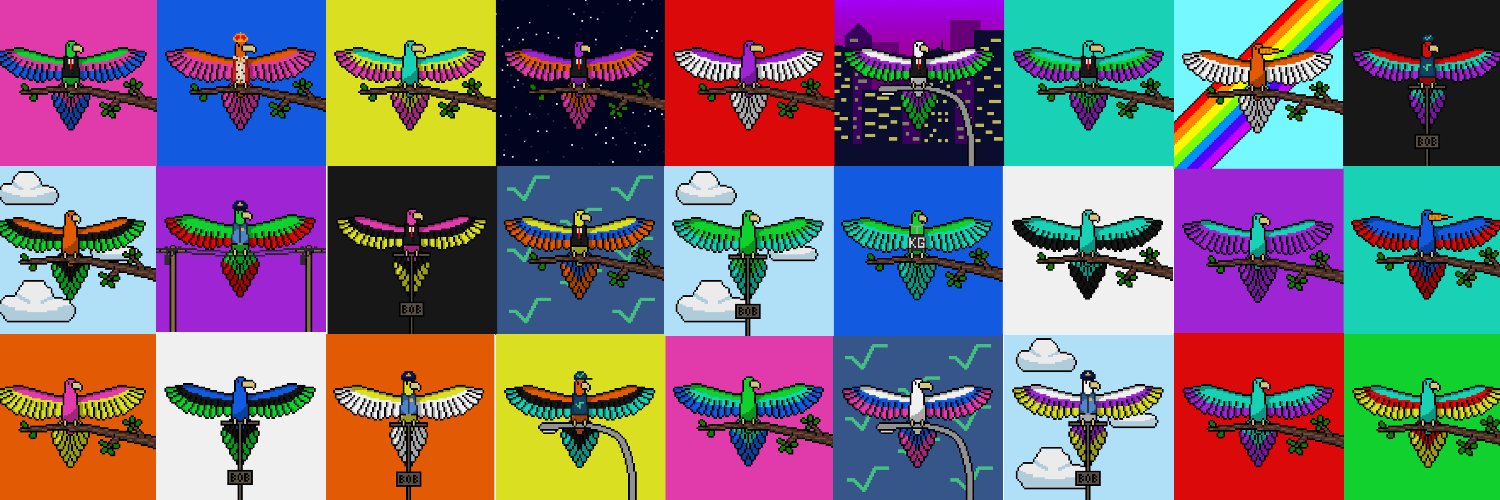 Radical Parrots banner