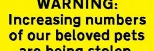 StopPetTheft Profile Banner