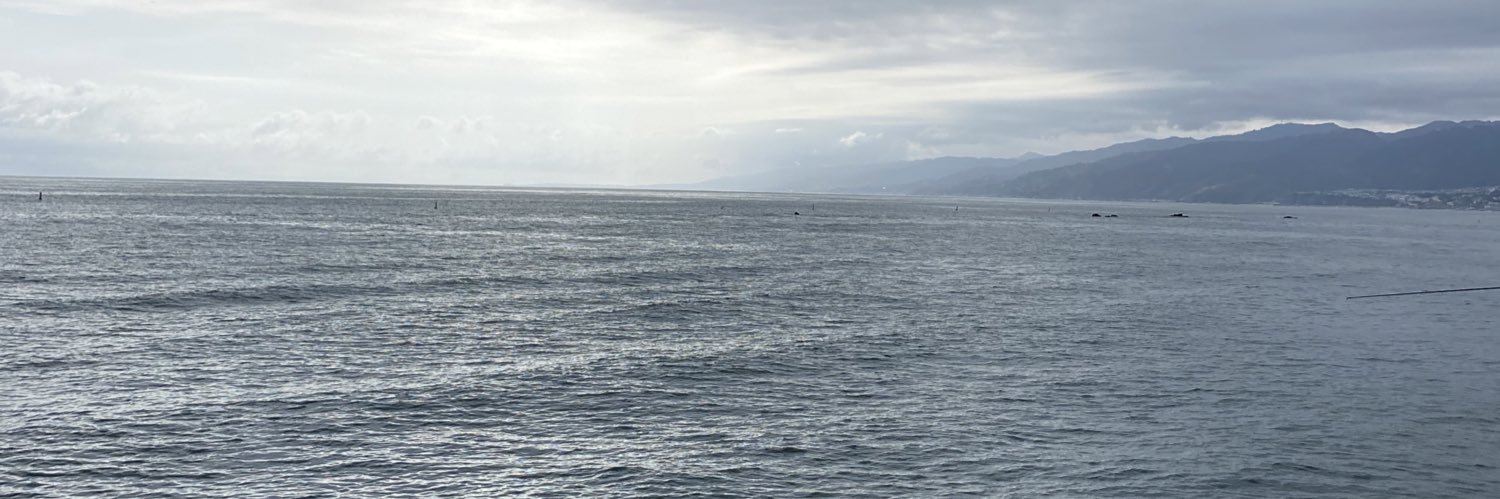 em_hamp's profile banner image