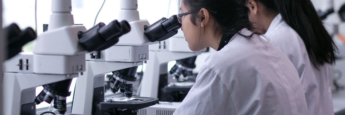 NYUAD Science banner