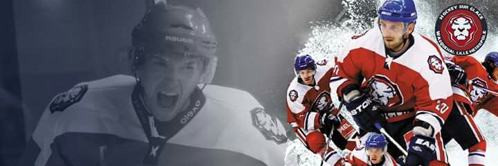 Lions de Wasquehal banner