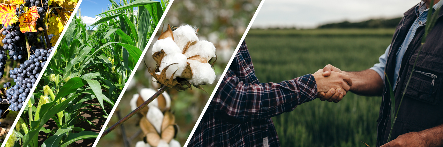 HELM Crop Solutions banner