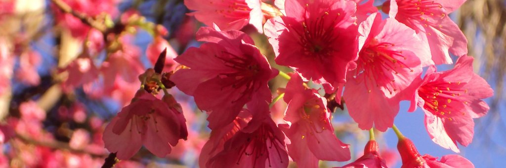 JenniferMont's profile banner image