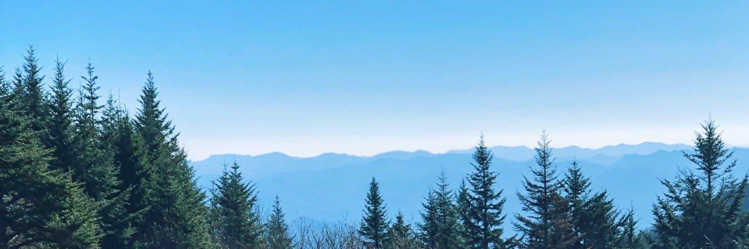 BurrisCarlie's profile banner image