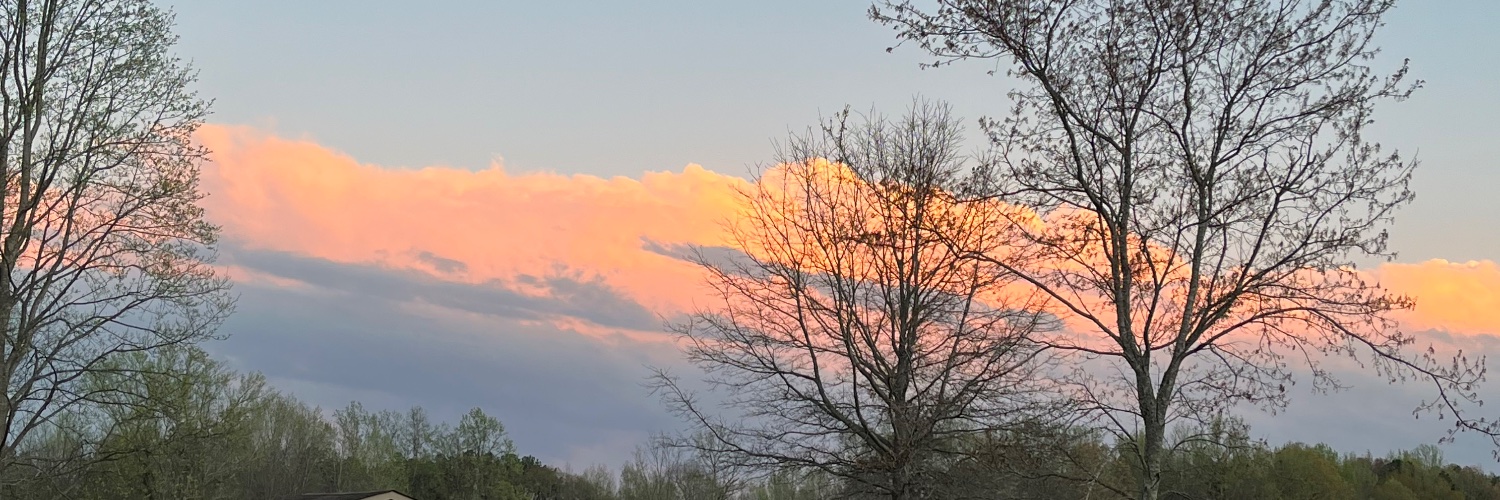 Sally Kilpatrick banner