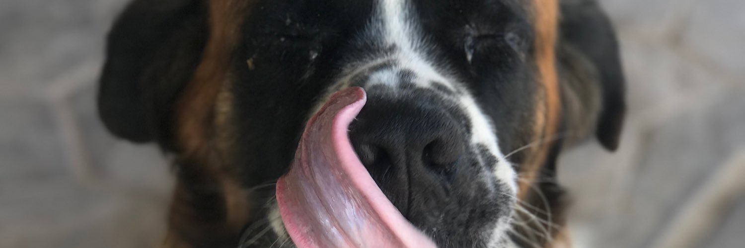 josabellg's profile banner image