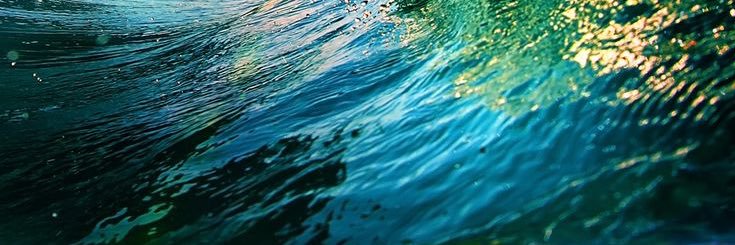 Wimberly85's profile banner image