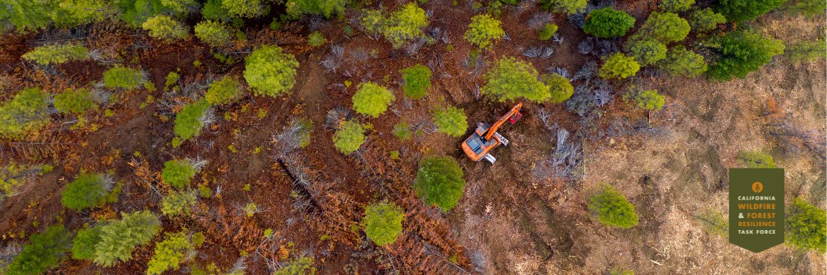 CA Wildfire and Forest Resilience Task Force's banner