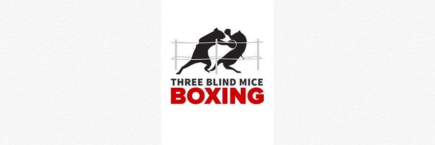 3 Blind Mice Boxing banner