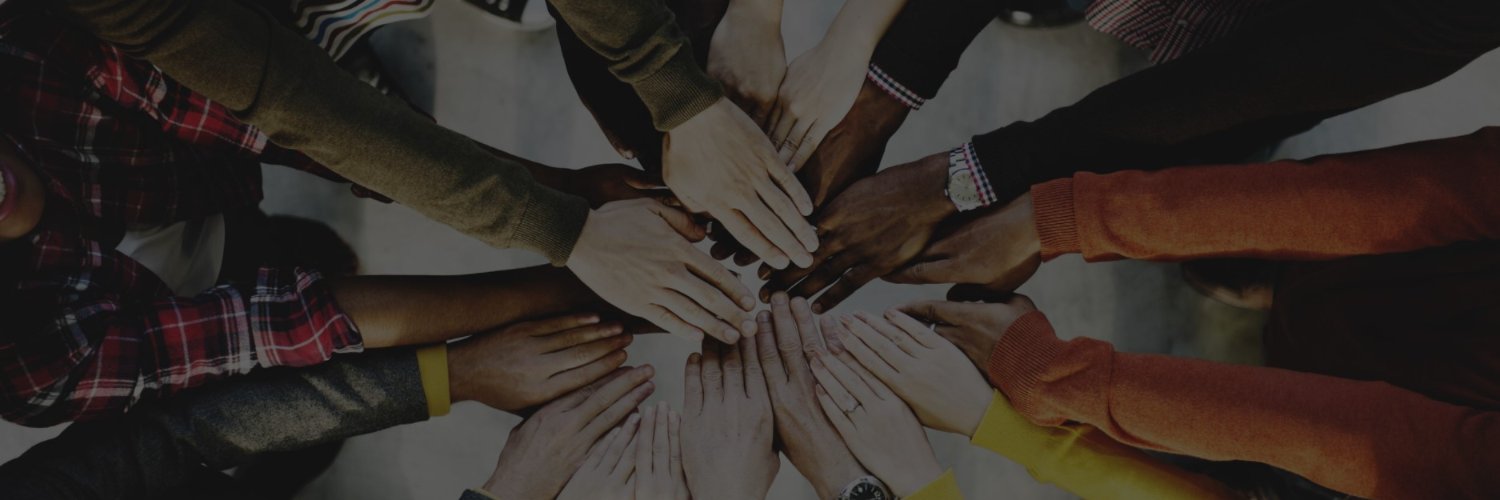 Chicago Neighborhood Policing Initiative (NPI) banner