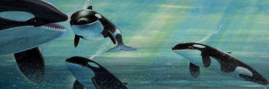 Eemah90's profile banner image