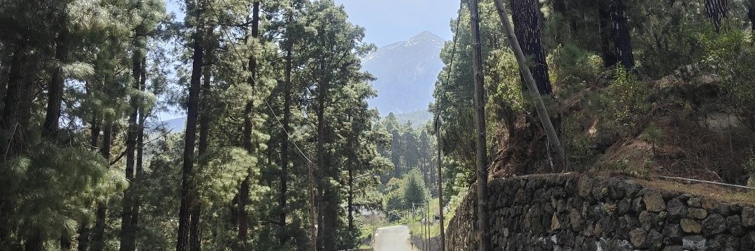 PROMOCIÓN DE LA SALUD ZBS ICOD banner