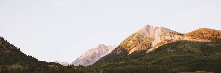 emilee banner