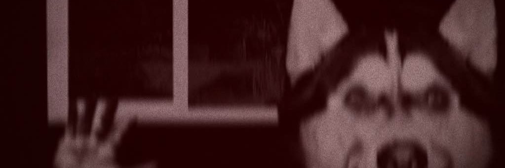 ⛓️🩸#1 El Chavo Fan🩸⛓️'s banner