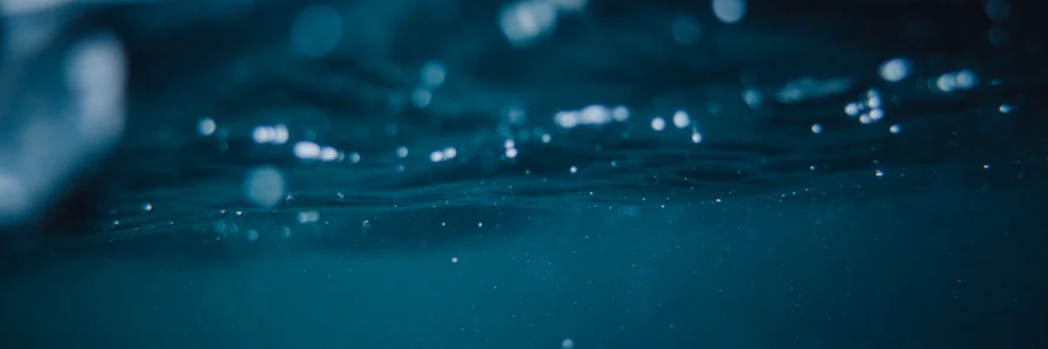 The Blue Mind Movement banner