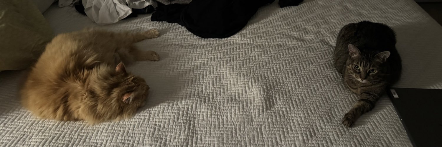 catmeatinc's profile banner image