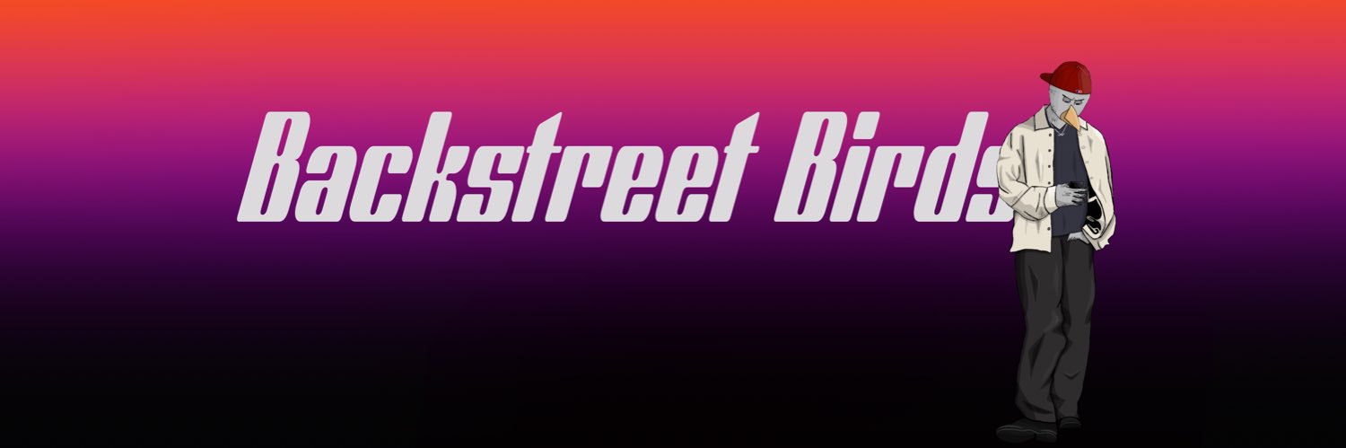 Backstreet Birds 🎤 banner