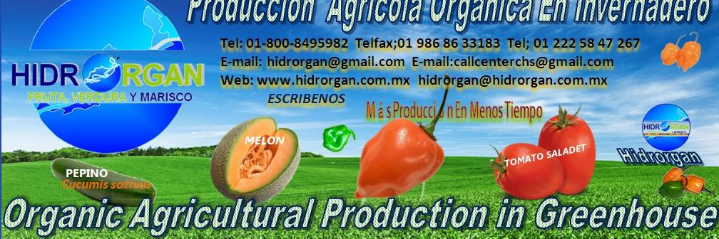 Hidrorgan's profile banner image