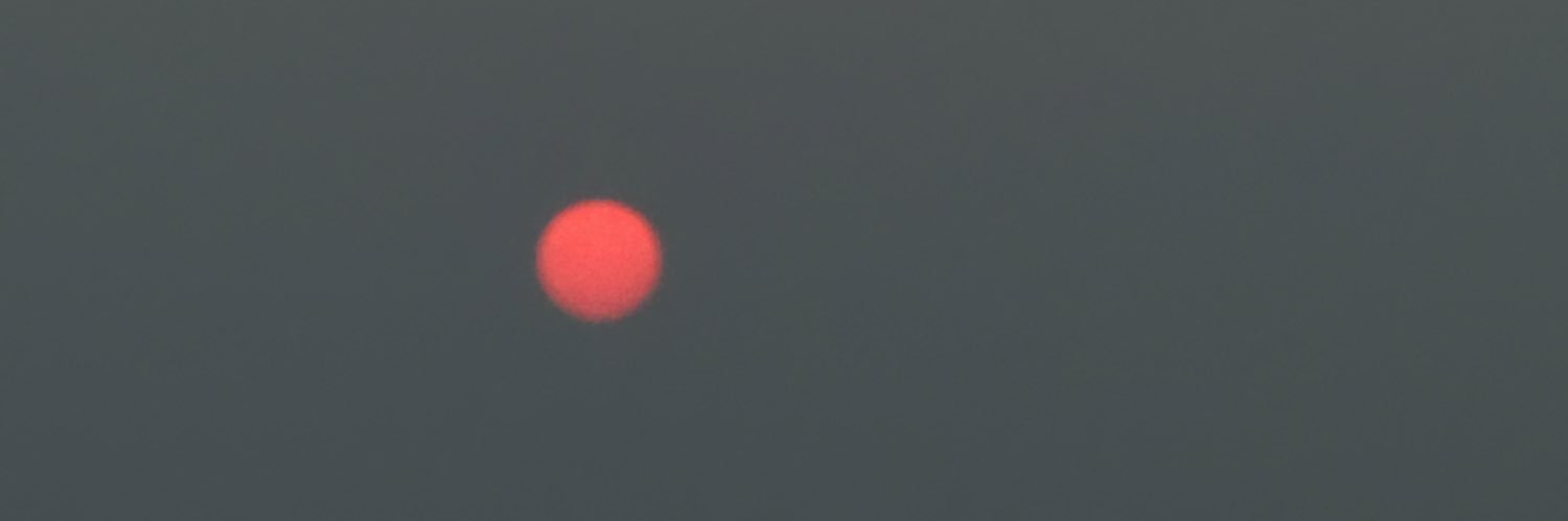 ʎɹq banner