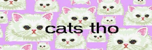 seeratonin's profile banner image