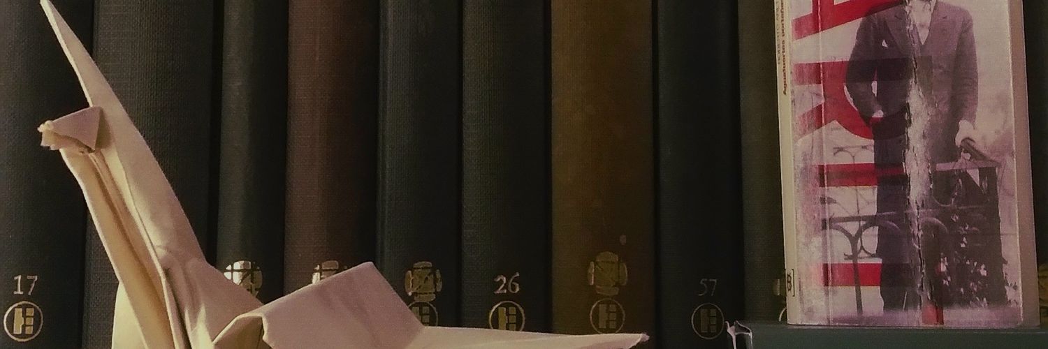 MariaAFerreyra's profile banner image