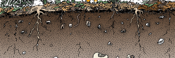soilecol Profile Banner
