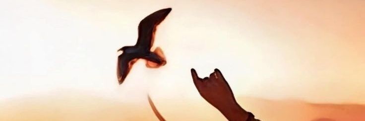 _nov89's profile banner image