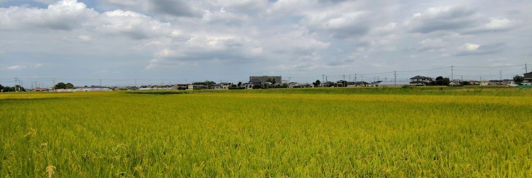 チーコとクー banner