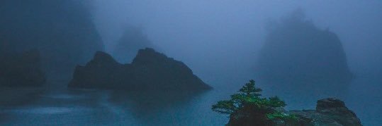 co ol ji an g🌸 banner