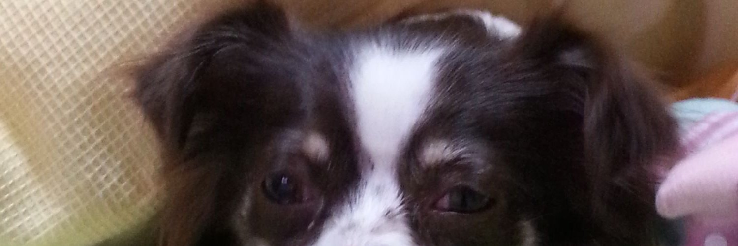 niko1028326's profile banner image
