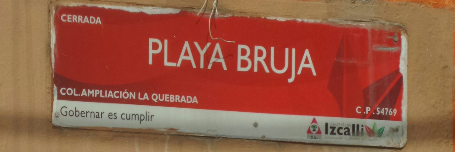 ♛ Pinche Parodia ♛ banner