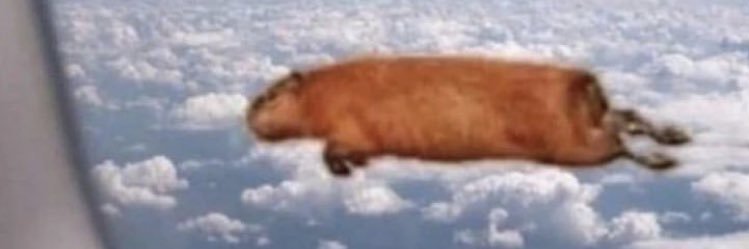 FLYCaPyBarA banner