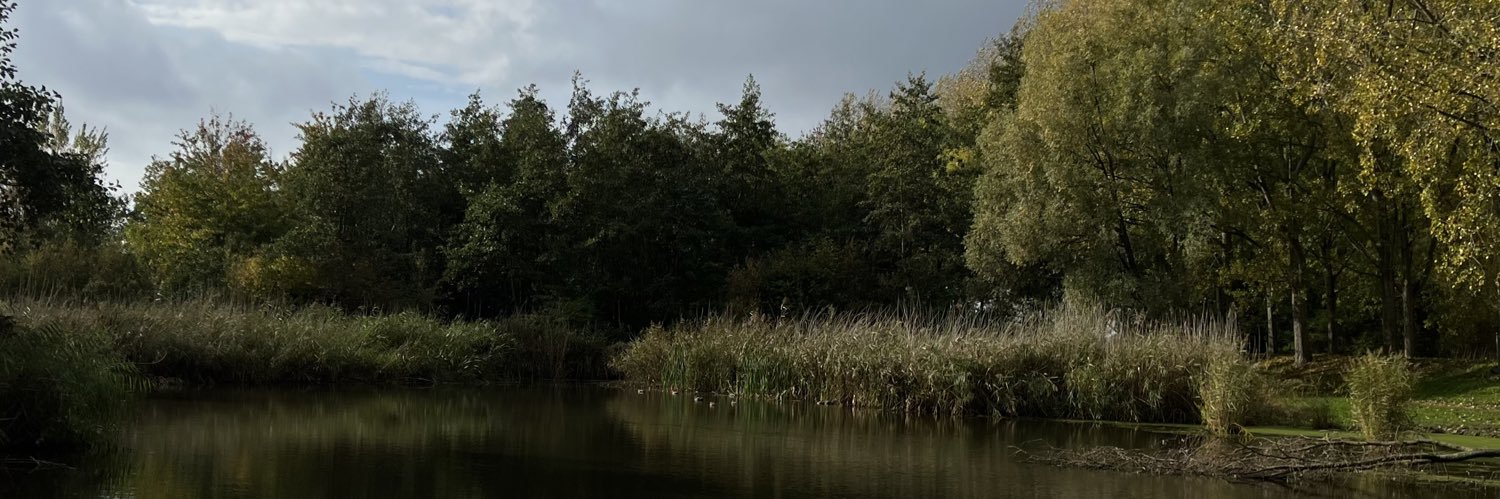 LeftyLooseyRightyisRight banner