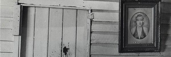 TahliaMaybe's profile banner image