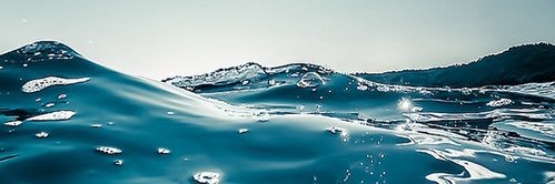 BigEyedFisch's profile banner image