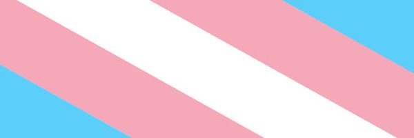LittlePupOrion Profile Banner