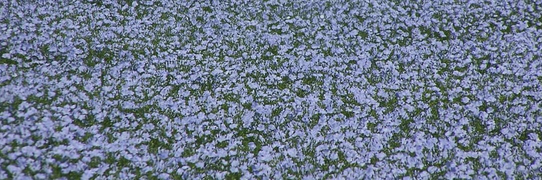 Autumn J. 🦋 banner