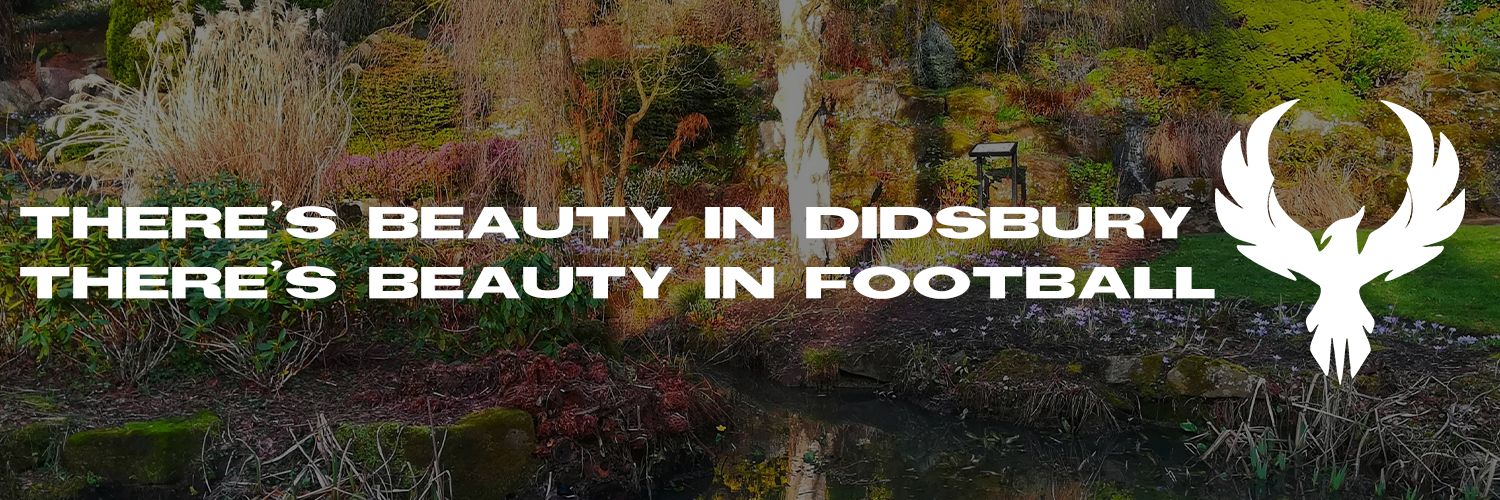 DidsburyPhoenix's profile banner image