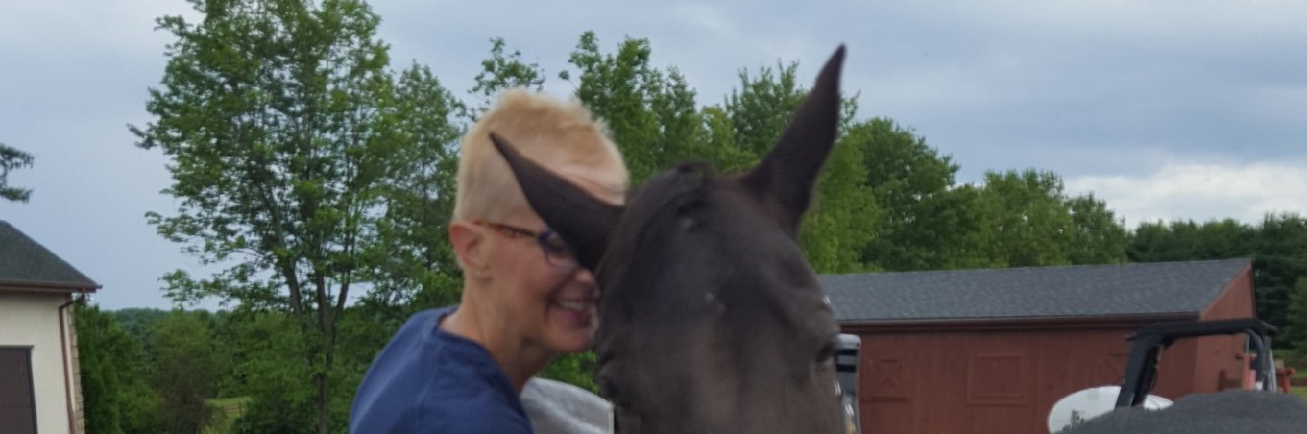 ShannonDeeRev's profile banner image