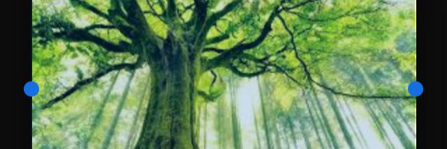 SkaggsMukherjee's profile banner image