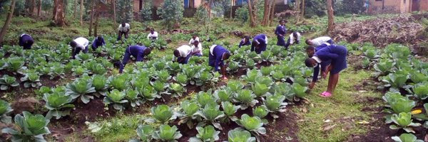 36Tesf Profile Banner