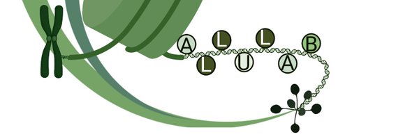 PSBlabIisert Profile Banner