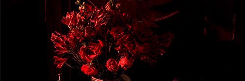 vampira banner