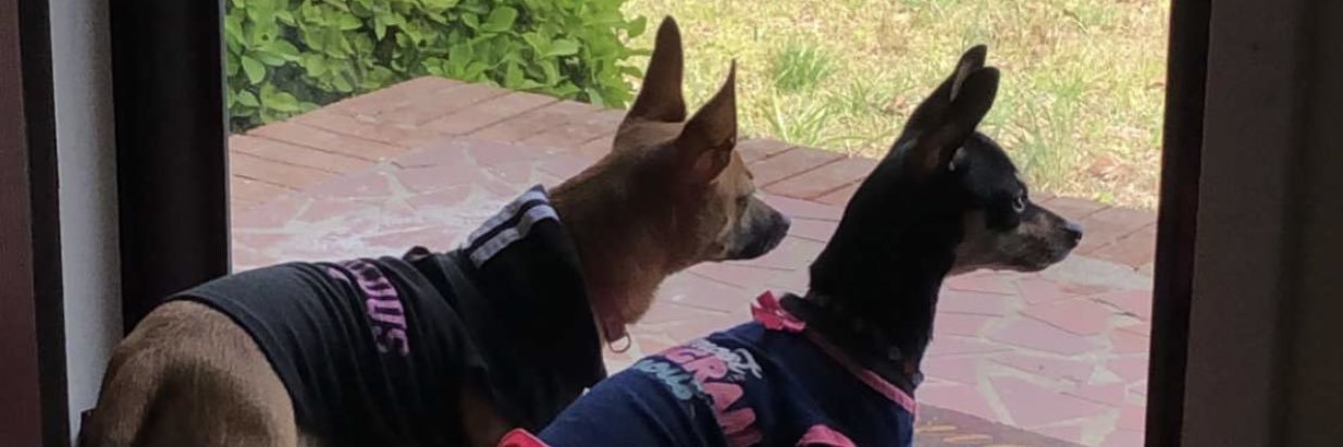 Cherryyxo's profile banner image