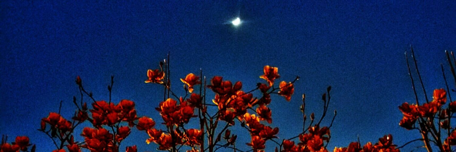 Corey Simmons banner