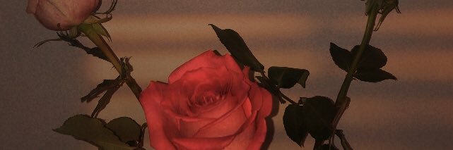gridou_douce's profile banner image
