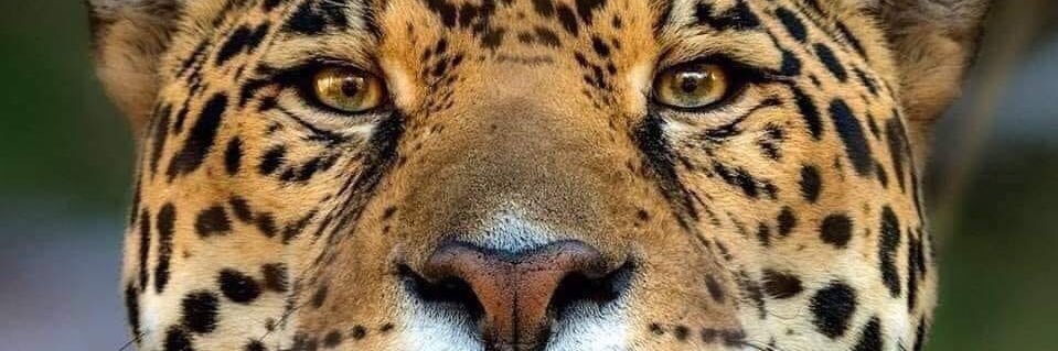 PabloCastro18's profile banner image