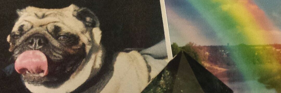 Mr. Tomo Pug #Angel banner